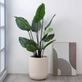 thumbnail image 4 of Tofino Clay Large Planter, 17.9", 4 of 6