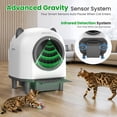 thumbnail image 3 of Caja de Arena Autolimpiable OROLEY con Diseño de Orejas de Gato Automática, 3 of 8