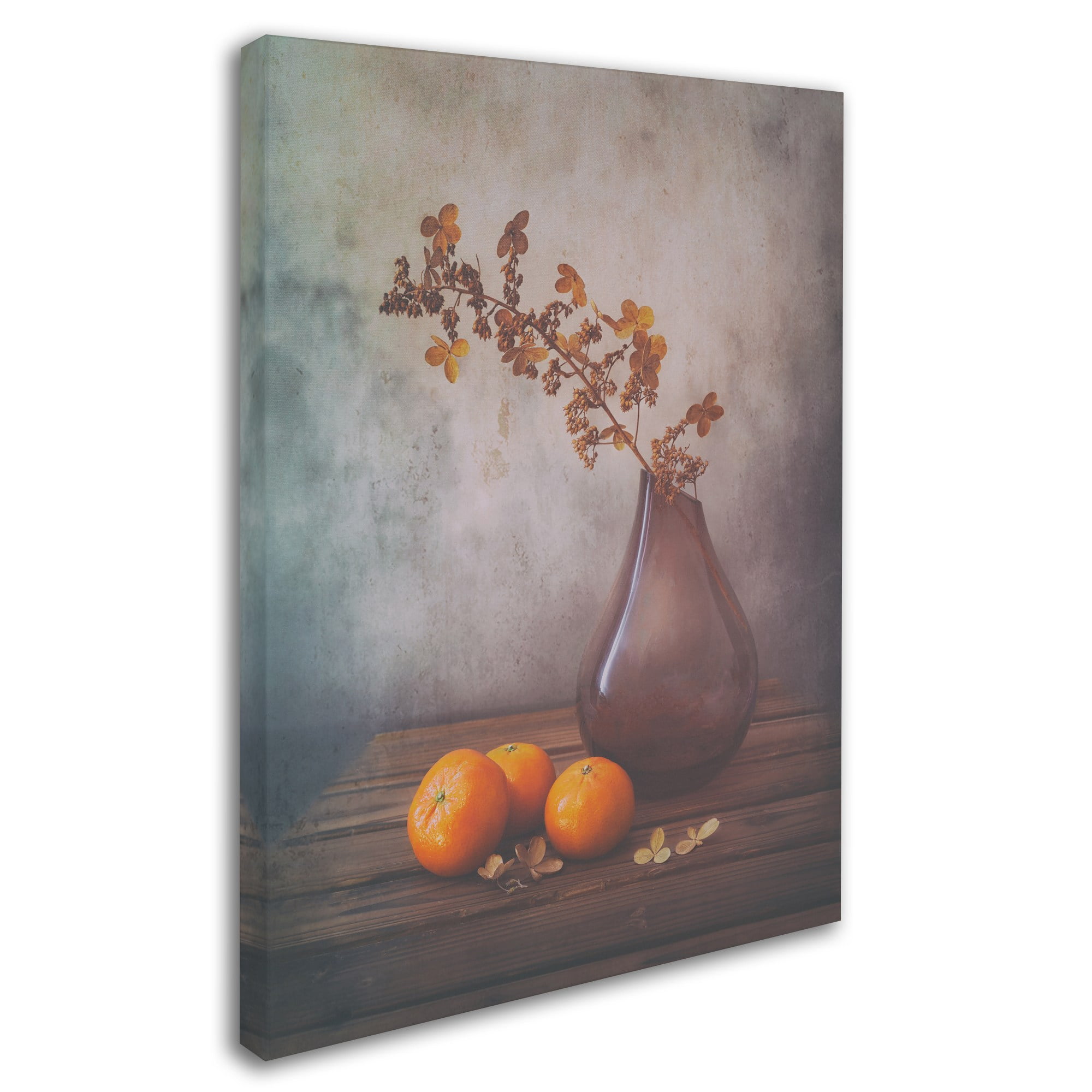 Trademark Fine Art 'Fall' Canvas Art by Sophie Pan