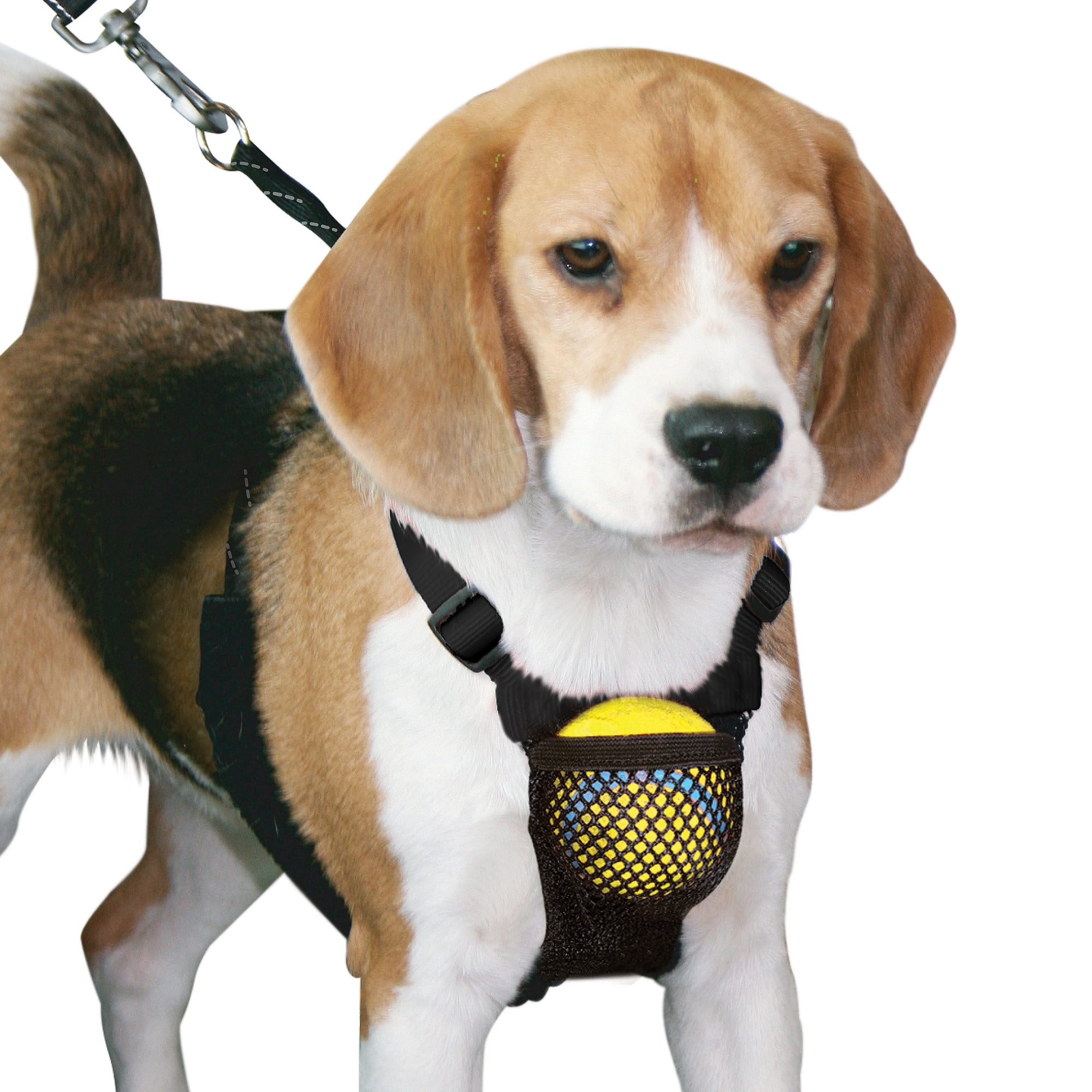 Sporn Nylon Mesh Non-Pulling Dog Harness, Black, M (14" to 20" Chest Size)