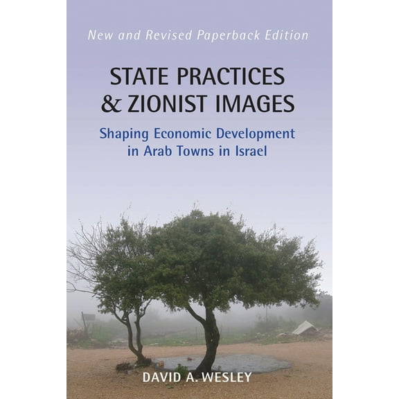 State Practices and Zionist Images: Shaping Economic Development in Arab Towns in Israel, (Paperback)