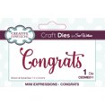 thumbnail image 1 of Creative Expressions Craft Dies By Sue Wilson-Congrats, 1 of 1