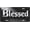 C 02, variant on License Plate, Ethnic Mandala Boho Flower Front License Plate Aluminum Metal Car Plates Decorative Vanity Tag Decor Novelty Car Tag for Truck SUV Rv Cars Auto Accessory for Women Men 6 X 12 Inch