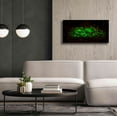 thumbnail image 3 of Epic Graffiti 'Emerald Boom' by Petar Belobrajdic Giclee Canvas Wall Art, 40"x20", 3 of 8