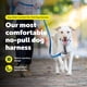 thumbnail image 2 of Arnés para perro PetSafe Easy Walk Comfort antitirones verde XS, 2 of 8
