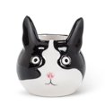 thumbnail image 1 of 3.8 Po Tête de Chat Planteur&44; Noir & Blanc - Petit, 1 of 1