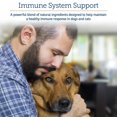 thumbnail image 2 of Rx Vitamins Onco Support - Dog & Cat Immune Support Supplement with Milk Thistle for Cats, Spirulina, Kelp Powder for Dogs, and More - Also Aids in Gut Health and Digestive Support - 300g, 2 of 9