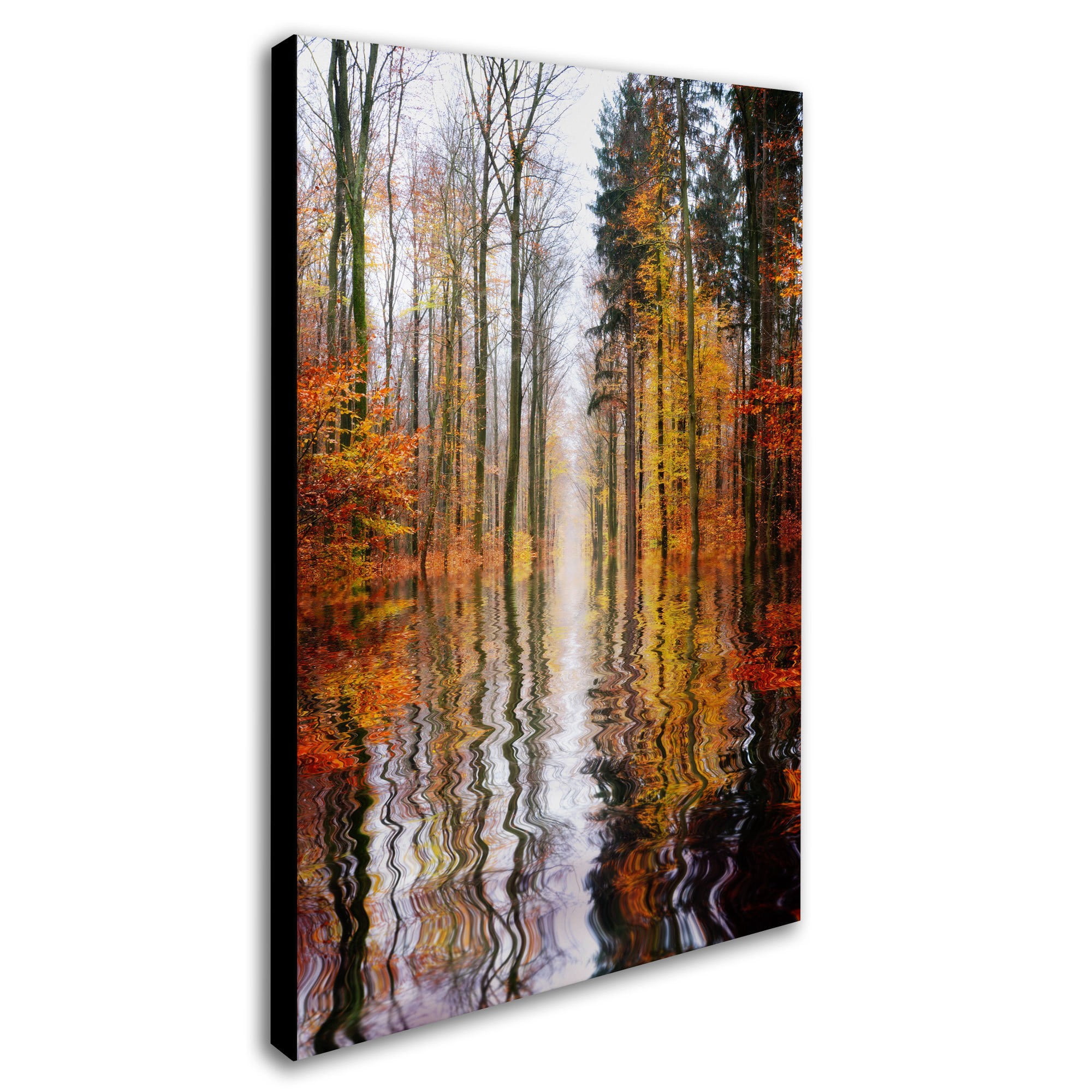 Trademark Fine Art "Higher Ground" Canvas Art by Philippe Sainte-Laudy
