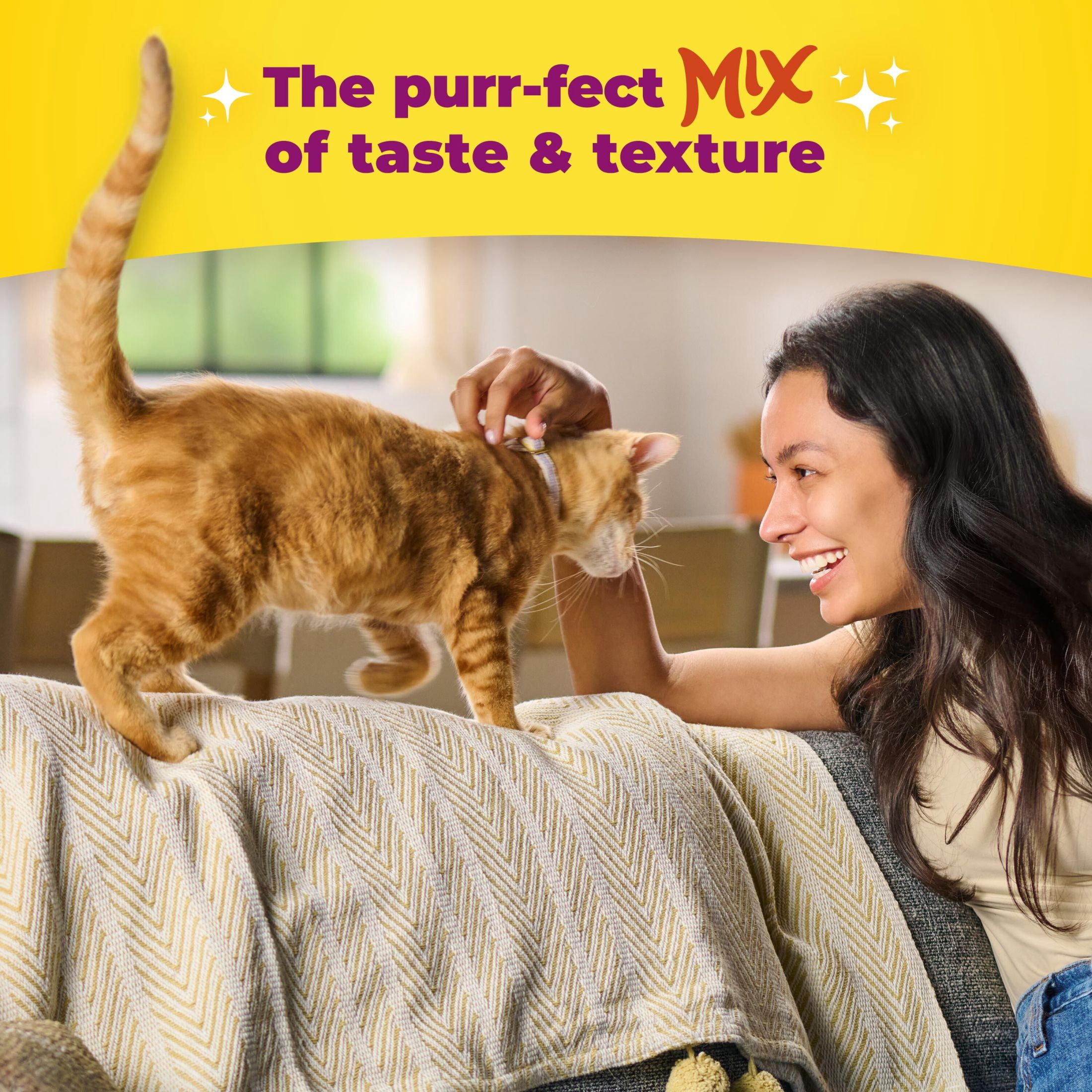 (12 pack) Meow Mix Irresistibles Soft Cat Treats Made with Real Salmon, 12 oz Pouch