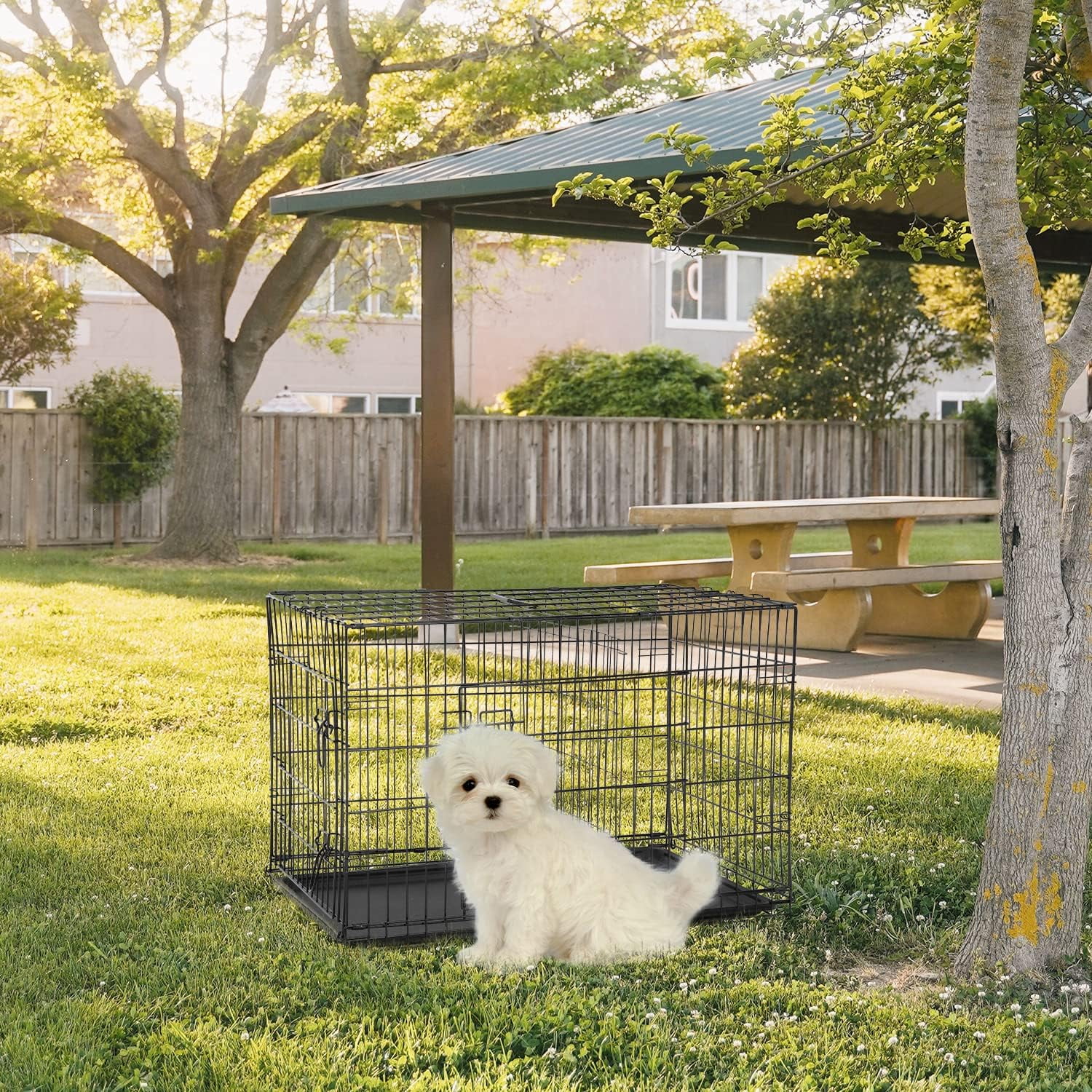 FDW 24 inch Foldable Metal Dog Crate for Small Dogs, Double Door, Divider, Removable Tray(Black)