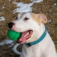 thumbnail image 3 of PetKORE: FloTex Ball - Large - 3.25", Green, Dog Toy, Proprietary Rubber, Patented Open Airflow Grooves, Bounce-Fetch-Chew, Pet Indoor-Outdoor Play, 3 of 10