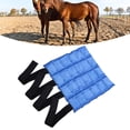 thumbnail image 1 of Bolsa De Hielo Para Caballos, Envoltura De Enfriamiento Para Caballos, Bota De Hielo De Gel Multifunción Reutilizable Para Piernas, 1 of 7