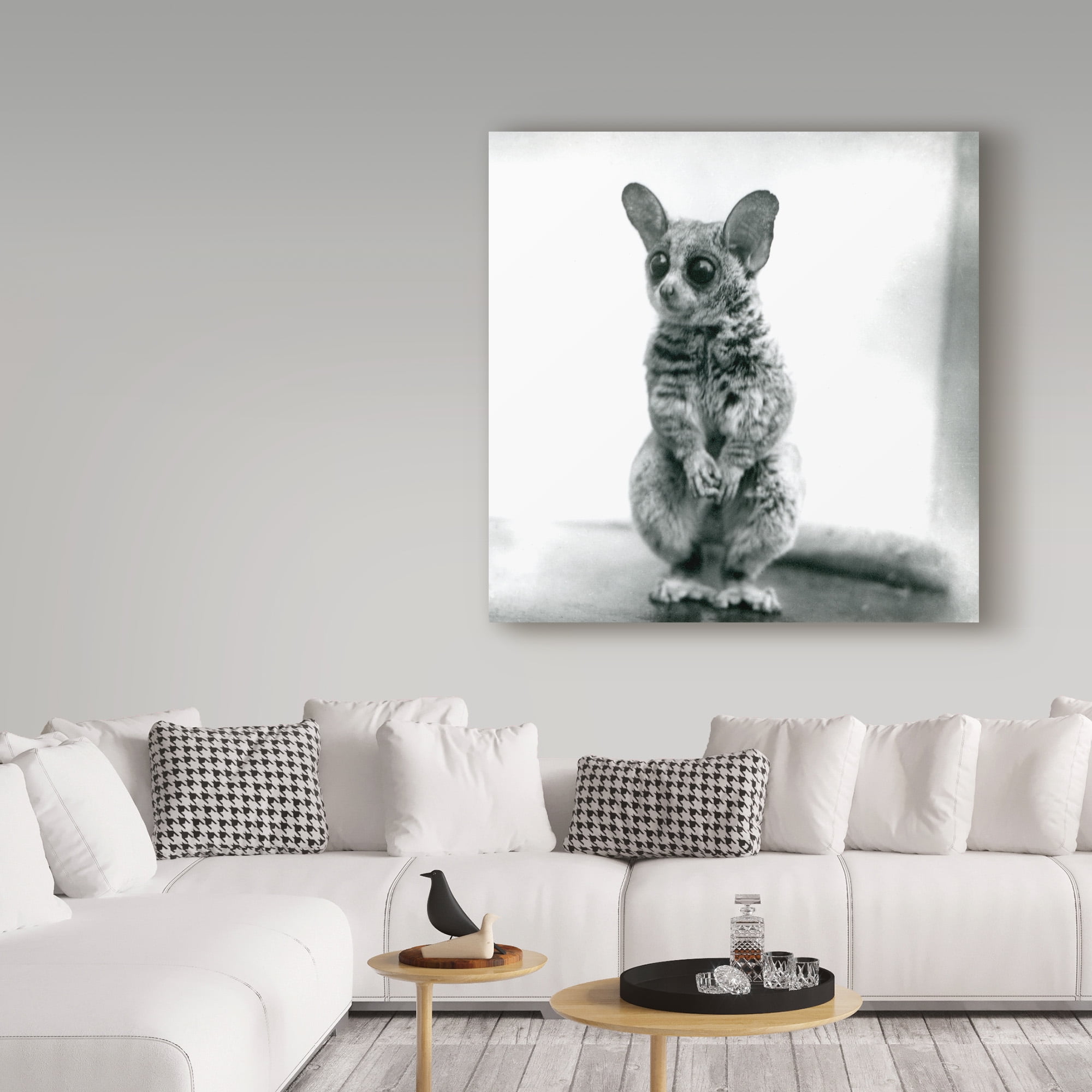Trademark Fine Art 'A Galago Moholi' Canvas Art by Frederick William Bond