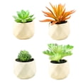 thumbnail image 1 of Mini succulents indoor home decoration simulation plant, 1 of 5
