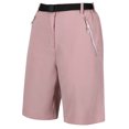 thumbnail image 3 of Regatta Womens Xert Stretch Shorts, 3 of 5