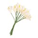 thumbnail image 3 of WEUVEB 12Ud Ramo De Artificial Color Marfil Ideal Para De Bodas Y Fiestas, 3 of 8