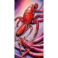thumbnail image 2 of CafePress - Abstract Lobster Crawfish Crab - Large Beach Towel, Soft 30"x60" Towel with Unique Design, 2 of 3