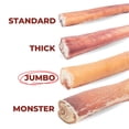 thumbnail image 6 of Bully Bunches Premium 6 Inch Jumbo Bully Stick - 6 Pack, 6 of 8