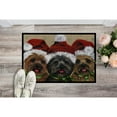 thumbnail image 2 of Carolines Treasures PPP3251JMAT Cairn Terrier Christmas Ceaser and Co Door Mat Indoor Rug or Outdoor Welcome Mat 24x36, 2 of 4