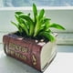 thumbnail image 5 of Cofre del Libro Maceta de flores de jardín suculentas plantador hecho a mano decoración del hogar de resina y cuelga, 5 of 8