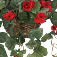 thumbnail image 6 of Pemberly Row Vibrant Begonia Blooms Hanging Basket in Red/Brown, 6 of 7