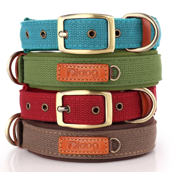Pet Artist Durable Nylon Dog Collar Soft Neoprene Padded with Heavy Dutuy Metal Buckle for Small Dogs,Soft On Skin,Green,S