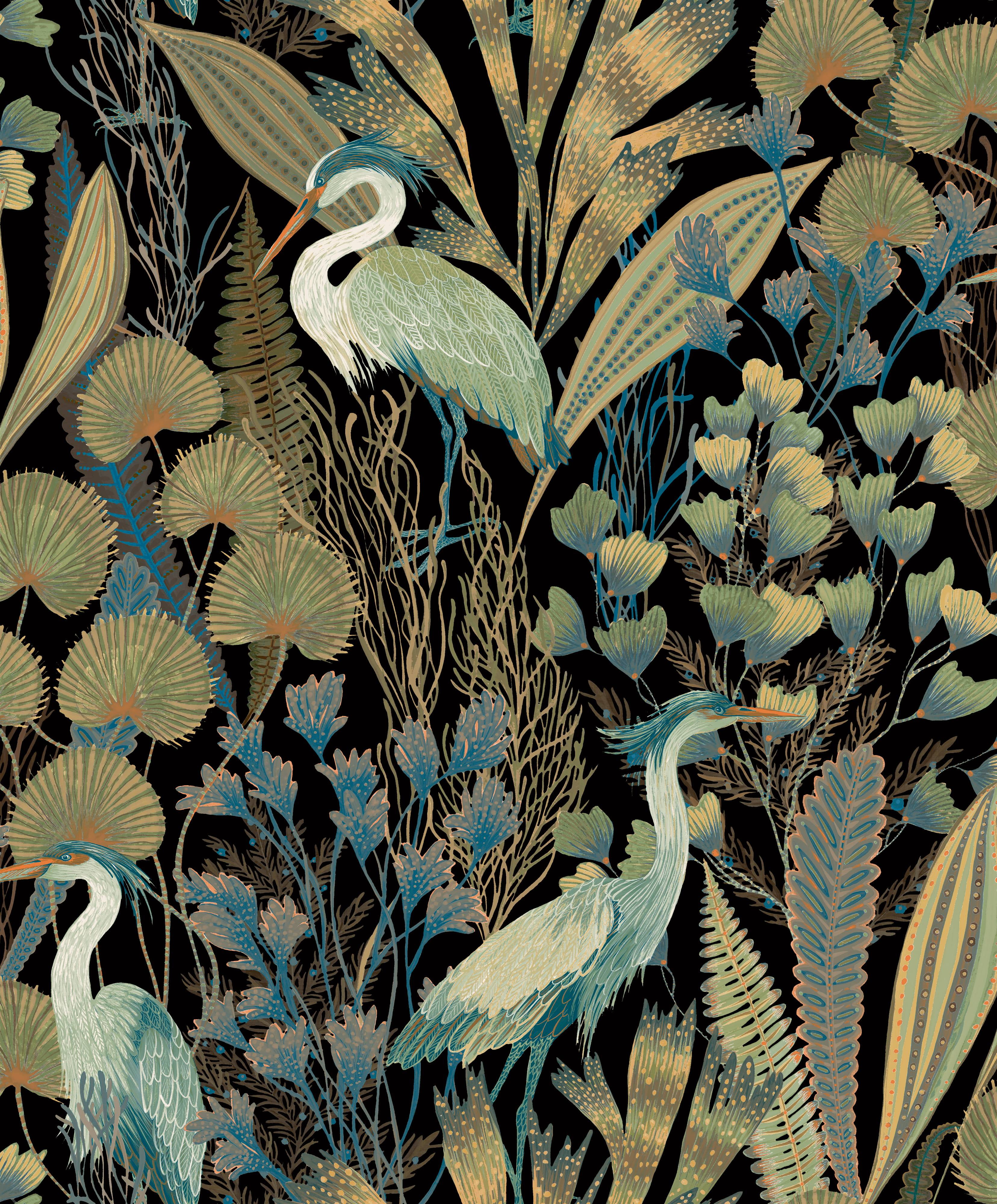 Black Heron Birds Tropical Wallpaper