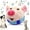 B, variant on Interactive Dog Toys Pig,Squeaky Dog Toys with Recording and Music Modes, Rechargeable Jumping Moving Dog Chew Toys for Small/Medium/Large Dogs to Keep Them Busy(Blue Pig)