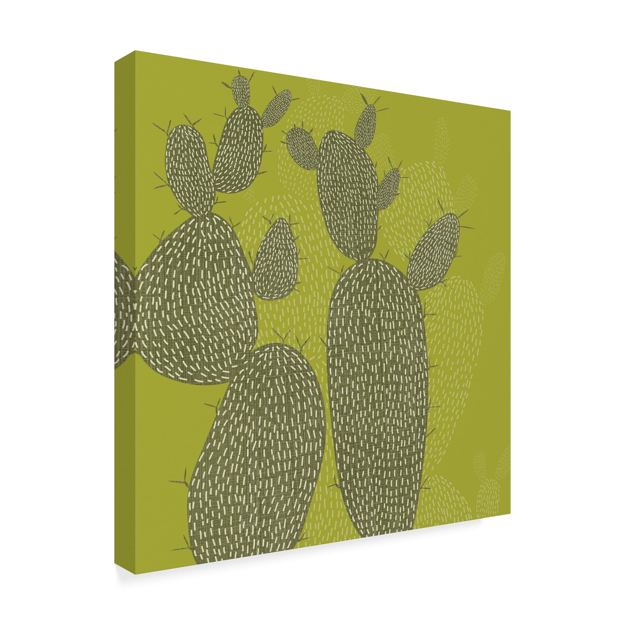 Trademark Fine Art 'Opuntia I' Canvas Art by Chariklia Zarris