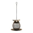 thumbnail image 2 of EARKITY Squirrel Proof Owl-Shaped Hanging Wild Bird Feeder with Metal Frame, 2 lb Capacity, 2 of 9