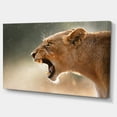 thumbnail image 2 of Lion Showing Dangerous Teeth - African Canvas Art Print, 2 of 3