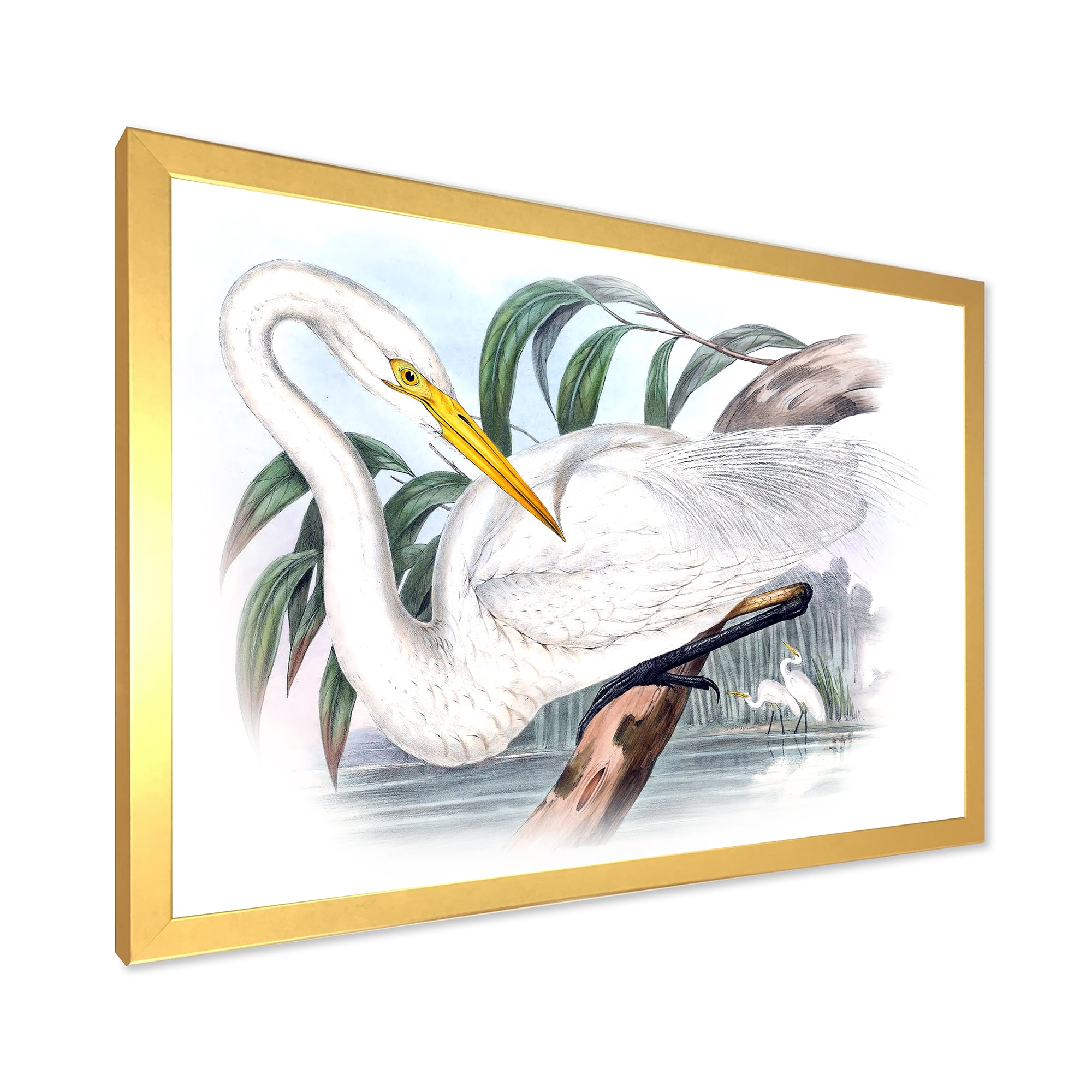Designart 'Ancient Australian Birds IV' Traditional Framed Art Print