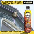 thumbnail image 4 of 16 Oz. Wasp And Hornet Killer (3-Pack), 4 of 6