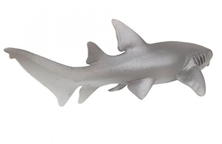 nurse shark toy