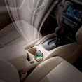 thumbnail image 2 of Turtle Wax ODOR X KIT, 2 of 2