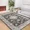 Black, variant on Hasoo Area Rug 5' x 7' Vintage Retro Area Rug for Living Room Bedroom Medallion Distressed Washable Rug Black