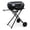 Black, variant on Brand Man Portable 2-Burner Camping Propane Gas Grill, Enameled Foldable BBQ with Griddle for Outdoor Cooking, Green