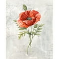 thumbnail image 3 of Robinson, Carol 20x24 Black Modern Framed Museum Art Print Titled - Linen Poppy, 3 of 5