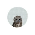thumbnail image 2 of Straatsma, Leah 12x14 White Modern Wood Framed Museum Art Print Titled - Baby Owl Circle, 2 of 4