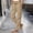 Khaki, variant on Women Quick Dry Cargo Pants Sevevn Elastic Drawstring Waist Straight Leg Outdoor Trousers With Multi Cargo Pockets, Rich Solid Color Selections For Hiking Travel Activities