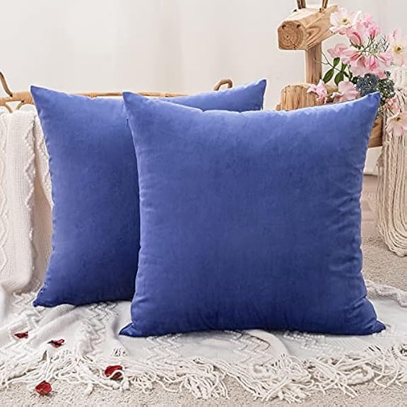 Eryueer Velvet Cushion Covers Throw Pillow Case Soft Modern Decorative Square Pillow Covers for Livingroom Sofa Chair Bedroom with Invisible Zipper 24"x 24" 2 Pieces Bluish Violet