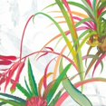 thumbnail image 2 of Jensen, Asia 20x20 White Modern Wood Framed Museum Art Print Titled - Tropical II, 2 of 4