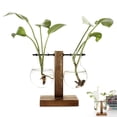 thumbnail image 1 of Soporte de madera de jarrón de vidrio hidropónico de eneldo verde Vhermosa SNFLD1951, 1 of 4