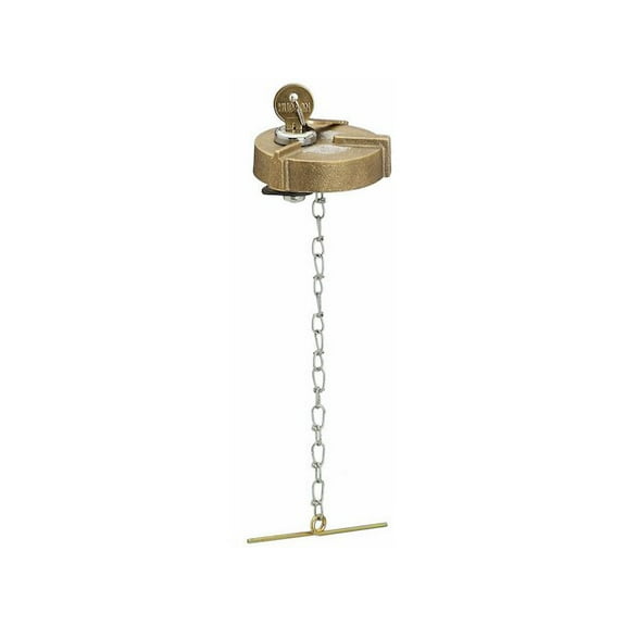 Fuel Tank Cap - Compatible with 2003 - 2022 Freightliner M2 106 2004 2005 2006 2007 2008 2009 2010 2011 2012 2013 2014 2015 2016 2017 2018 2019 2020 2021