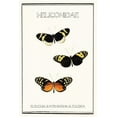 thumbnail image 2 of Waltz, Anne 17x24 Gold Ornate Wood Framed with Double Matting Museum Art Print Titled - Heliconidae, 2 of 4