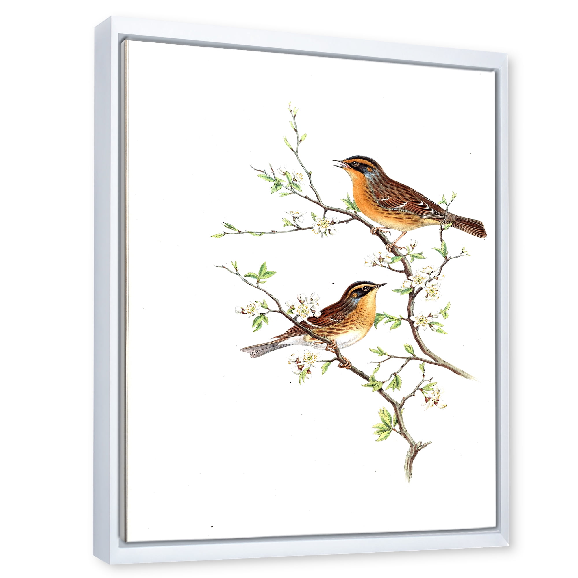 Designart 'Ancient Mammals II' Farmhouse Framed Canvas Wall Art Print