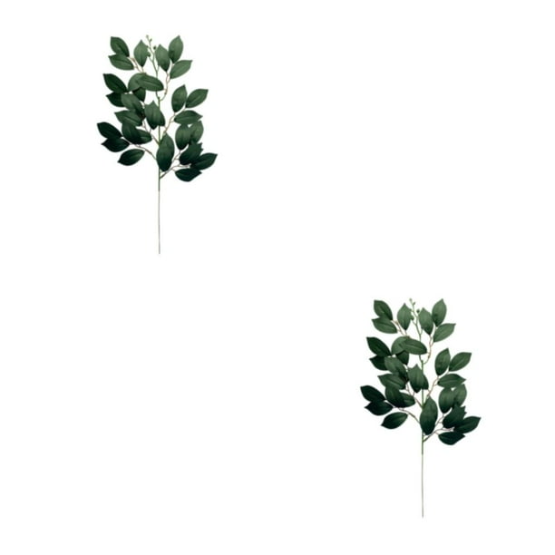Advancent 10x Decoración De Plantas No Tóxicas - Para Oficinas Y Salas De Estar Jardín Arreglo Frescura Type3 NO3