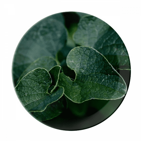

Dark Picture Nature Plate Decorative Porcelain Salver Tableware Dinner Dish
