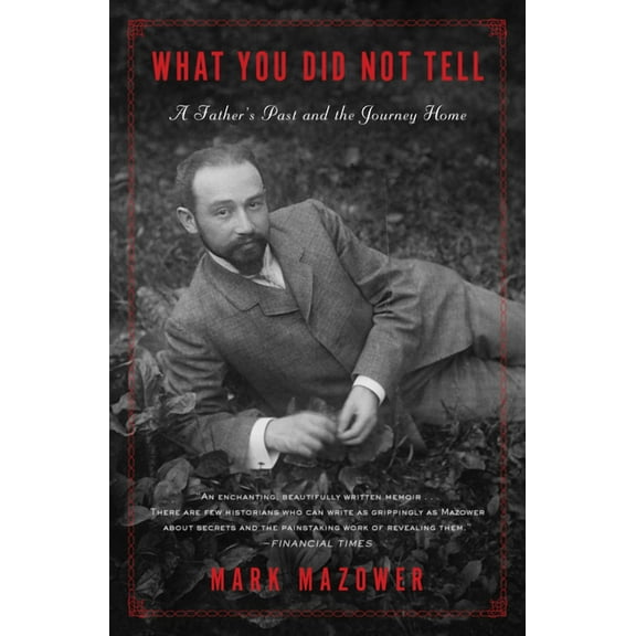 What You Did Not Tell: A Father's Past and a Journey Home (Paperback)
