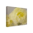 thumbnail image 2 of Trademark Fine Art 'Rose Whisper III' Canvas Art by Judy Stalus, 2 of 4